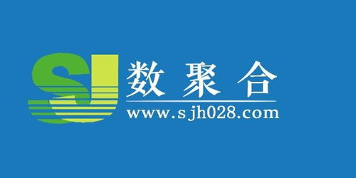 成都数聚合网络科技 技术驱动下的创新力量与行业变革
